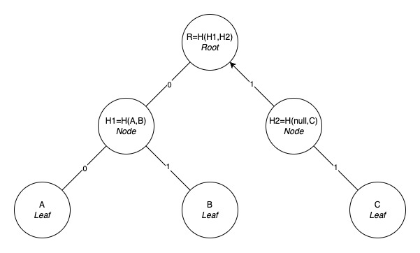 Leaf, Path, Node, and Root